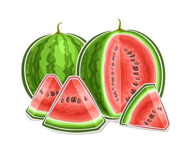 stock vector Vector logo for Watermelon, decorative horizontal poster with outline illustration of watermelon composition, cartoon design fruity print with chopped watermelon parts with grains on white background