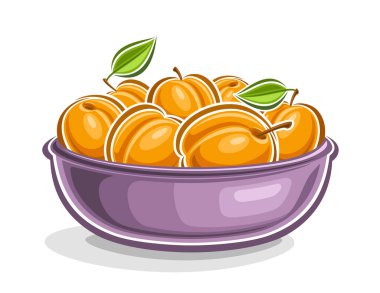 Kayısı için vektör logosu, üzerinde yeşil yapraklı turuncu kayısı tasviri olan dekoratif yatay poster, beyaz arkaplanda sarı kayısılar olan çizgi film baskısı.