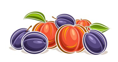 Erik ve Şeftali için vektör logosu, ana hatlı yatay dekoratif poster, yeşil yapraklı sanat meyvesi kompozisyonu, beyaz arkaplanda erik ve şeftalili karikatür tasarımı meyvesi etiketi