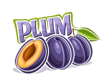 Erik için vektör logosu, yeşil yapraklı erik kompozisyonu taslağı ile dekoratif yatay poster, beyaz arkaplanda tohum ile doğranmış erik parçalı çizgi film tasarımı etiketi