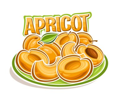 Kayısı için vektör logosu, üzerinde yeşil yapraklı turuncu kayısı tasviri olan dekoratif yatay poster, beyaz arka planda doğranmış kayısılarla çizgi film baskısı.