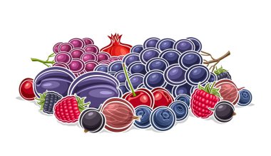 Vektör Berry Logosu, yeşil yapraklı menekşe olgun böğürtlen kompozisyonu tasviri ile dekoratif yatay poster, beyaz arkaplanda çiğ böğürtlenli karikatür tasarımı.