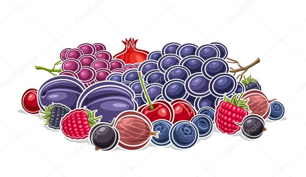 Vector Berry Logo, decorative horizontal poster with outline illustration of violet ripe berry composition with green leaves, cartoon design fruit print with raw assorted berries on white background