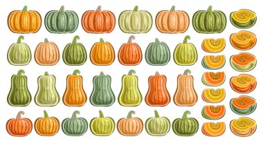 Vector Pumpkins ve Kabocha Set, birçok farklı balkabağı tasarımı, çeşitli karikatür dizaynı ve beyaz arka planda doğranmış balkabağı ve tarım kabakları koleksiyonu