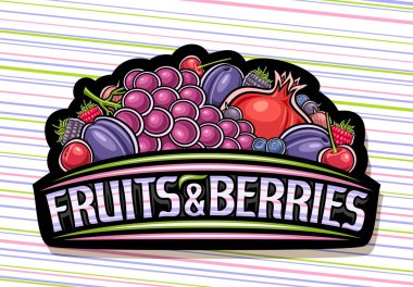 Fruits ve Berries için vektör logosu, çizgi film tasarımlı koyu etiket kırmızı ve mor sulu meyve kompozisyonu, mavi metin meyveleri ve renkli arkaplanda böğürtlenlerle dekoratif tarım tabelaları