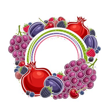 Reklam metni için fotokopi alanı olan vektör Berry Frame, karikatür tasarımı kırmızı ve mavi böğürtlen kompozisyonu olan dekoratif kare pankart, beyaz zemin üzerinde çeşitli olgun sulu dutlardan oluşan yuvarlak çerçeve