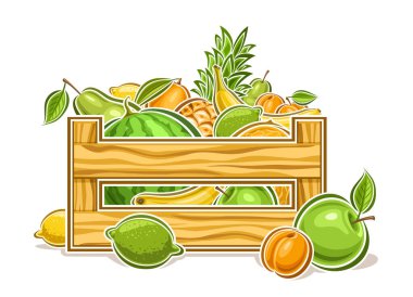 Vektör Meyve Kutusu, dekoratif yatay poster sulu meyve kompozisyonu taslağı, karikatür tasarımı meyve baskısı ahşap sandıkta çeşitli meyveler beyaz arka planda