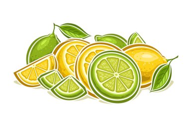 Vektör Lemon ve Lime natürmort, karikatür tasarımı, olgun kireç kompozisyonu ile yatay dekoratif poster, doğranmış grup parçalarının ana hatları ve beyaz arka planda bütün limon ve limonlar