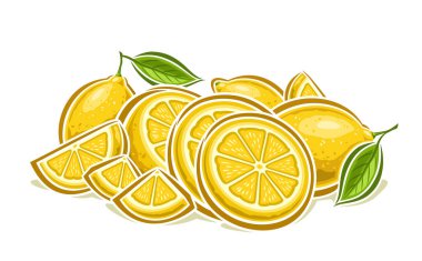 Vector Lemon Still Life, karikatür tasarımı çiğ limon kompozisyonu ile yatay dekoratif poster, grup doğranmış resimlerin ana hatları ve beyaz arka planda yeşil yapraklı limon meyveleri.