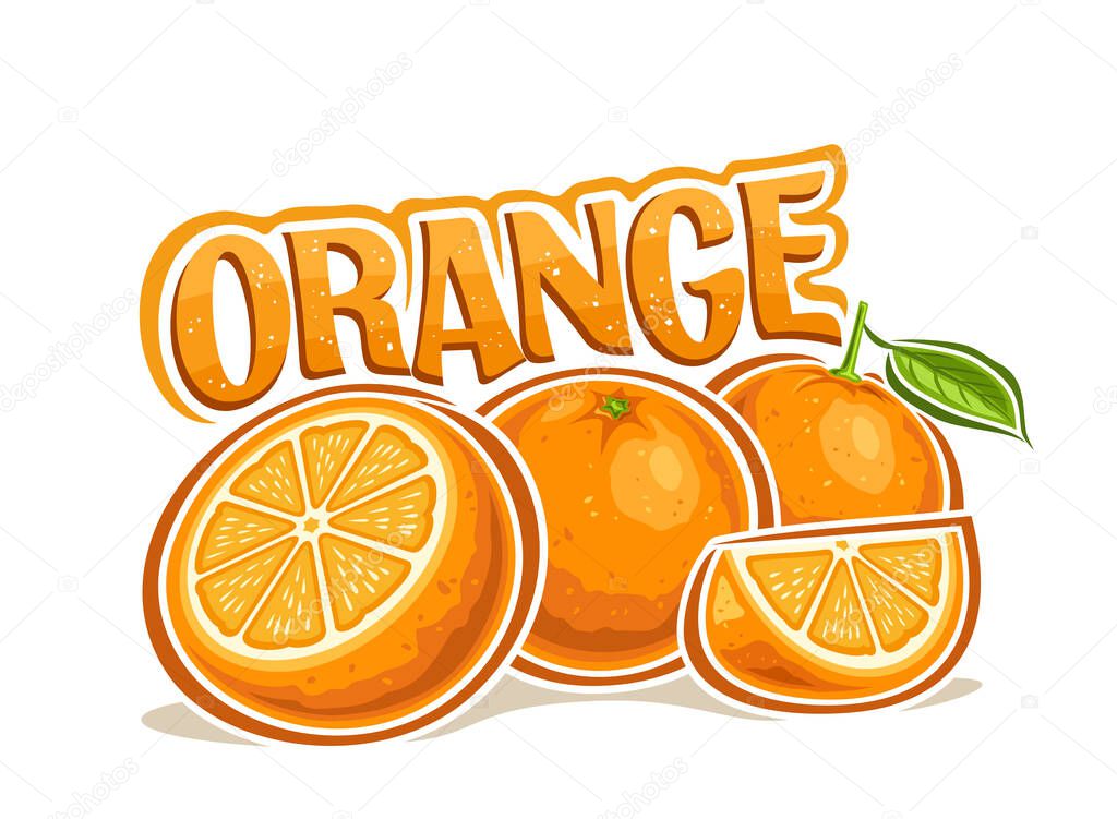 Vector logo for Orange, horizontal decorative poster with cartoon design ripe orange composition, group of chopped refreshing fruit parts and unique brush lettering for text orange on white background