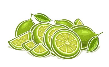 Vektör Lime Still Life, çizgi film dizaynı olgun kireç kompozisyonu ile yatay dekoratif poster, grup doğranmış üçgen parçalarının ana hatları ve beyaz arkaplanda yaprakları olan tüm limonlar