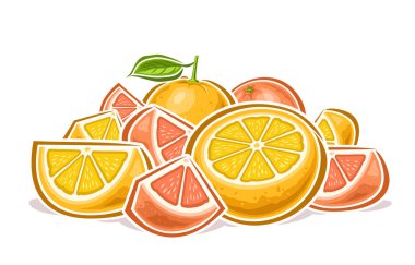 Vektör Greyfurt Yığını, karikatür tasarımı ile yatay dekoratif poster greyfurt kompozisyonu canlandırıcı, grup doğranmış parçaların ana hatları ve beyaz arkaplanda gül greyfurtları