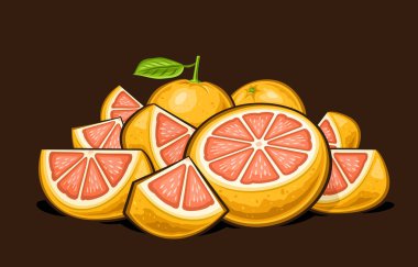 Vektör Greyfurt Yığını, karikatür tasarımı serinletici greyfurt kompozisyonu ile yatay poster, birçok doğranmış ham meyve parçasıyla dekoratif afiş ve koyu arkaplanda gül greyfurtları posası