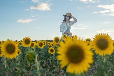Ayçiçeği tarlasında bir kadın