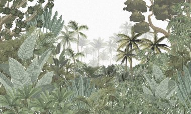 Modern Botanik Duvarı Duvarı: Siyah & Beyaz Avuçlar ve Egzotik Bitkiler Arkaplanı