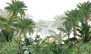 İnce Doğa Duvarı Duvarı: Soluk Yeşil Tropikal Kuşlarla Arka plan