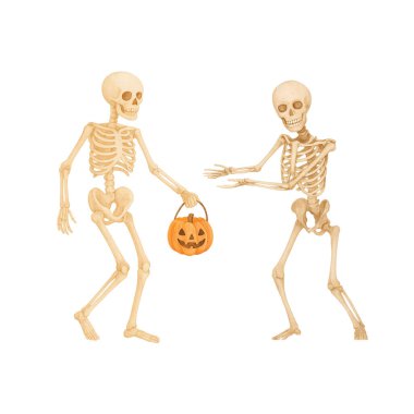 İki İskelet Fener Hediye Torbası 'yla Oynuyor