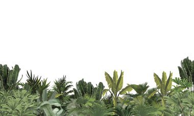 Palmiye ağaçlarıyla tropik manzara Watercolor Illustration, Egzotik Sahne