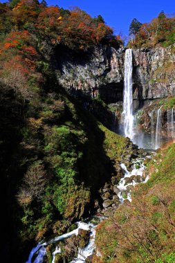 Japonya 'nın güzel manzarası Nikko Kegon Şelaleleri sonbahar yaprakları mevsiminde