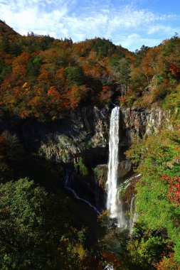 Japonya 'nın güzel manzarası Nikko Kegon Şelaleleri sonbahar yaprakları mevsiminde