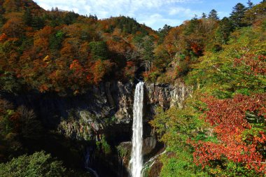 Japonya 'nın güzel manzarası Nikko Kegon Şelaleleri sonbahar yaprakları mevsiminde