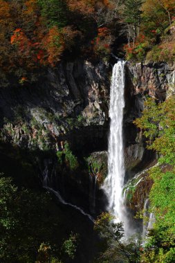 Japonya 'nın güzel manzarası Nikko Kegon Şelaleleri sonbahar yaprakları mevsiminde
