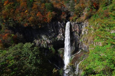 Japonya 'nın güzel manzarası Nikko Kegon Şelaleleri sonbahar yaprakları mevsiminde