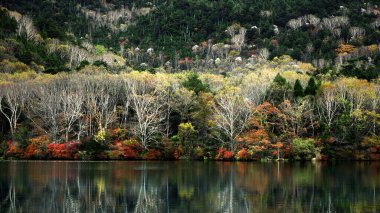 Japonya 'daki güzel sonbahar yapraklarının manzarası Nikko Yunoko' nun manzarası bir tablo gibi.