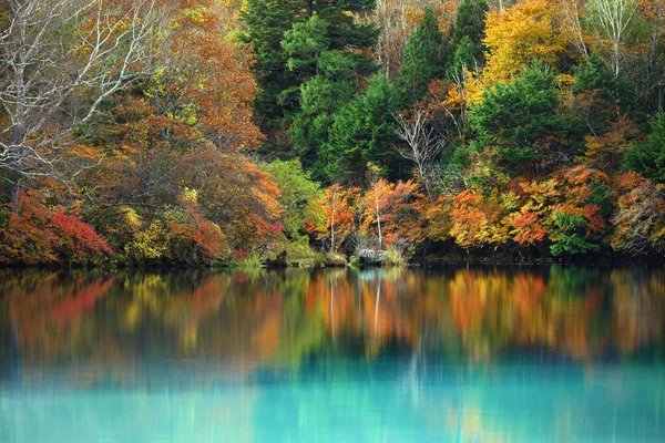 Krajina Krásných Podzimních Listů Japonsku Krajina Nikko Yunoko Jako Obraz — Stock fotografie