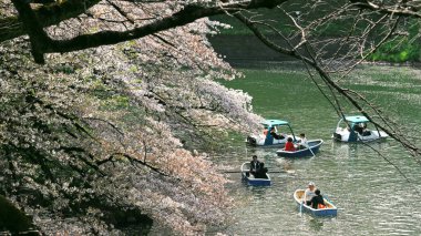 6 Nisan 2019, Chiyoda Ward, Tokyo, Japon halkı sıcak bir bahar gününde Chidorigafuchi Gölü 'nden gelen bir teknede kiraz çiçeklerinin tadını çıkarıyor.