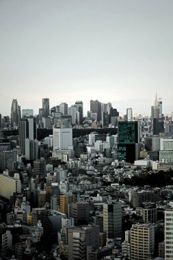 Tokyo 'nun bulutlu gökyüzündeki panoramik manzarası Shibuya yerleşim alanı ve Shinjuku gökdelenleri