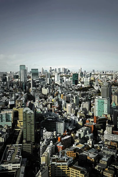 Panoramic View Tokyo Cloudy Sky High Rise Buildings Shibuya Shinjuku — Stock Photo, Image