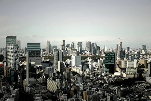 Vista Panorâmica Tóquio Céu Nublado Edifícios Altos Shibuya Shinjuku — Fotografia de Stock