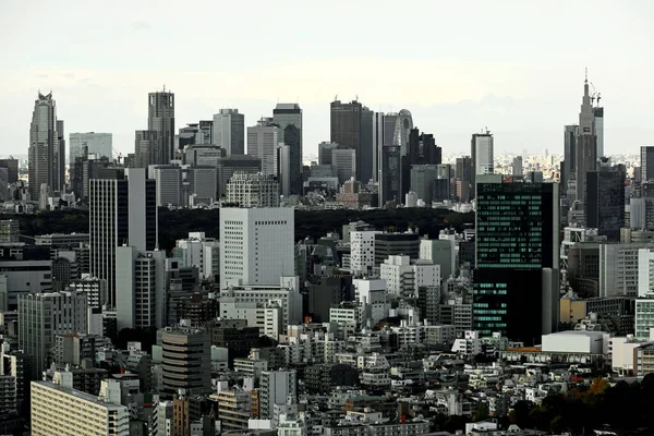 曇り空の東京のパノラマビュー渋谷の住宅街と新宿の高層ビル — ストック写真