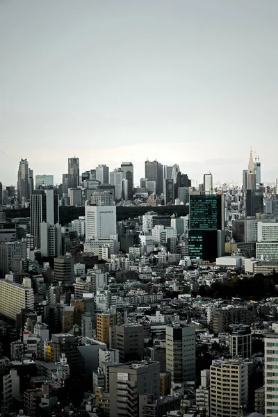 Panoramisch Uitzicht Tokio Een Bewolkte Lucht Shibuya Woonwijk Shinjuku Wolkenkrabbers — Stockfoto