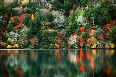 Japonya 'daki güzel sonbahar yapraklarının manzarası Nikko Yunoko' nun manzarası bir tablo gibi.