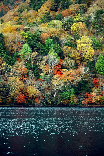 Krajobrazy Pięknych Jesiennych Liści Japonii Krajobrazy Nikko Yunoko Jak Obraz — Zdjęcie stockowe
