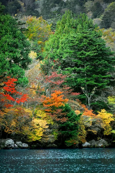 Krajobrazy Pięknych Jesiennych Liści Japonii Krajobrazy Nikko Yunoko Jak Obraz — Zdjęcie stockowe