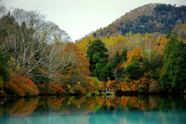 Japonya 'daki güzel sonbahar yapraklarının manzarası Nikko Yunoko' nun manzarası bir tablo gibi.