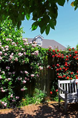 Çiçekli bahçe terası