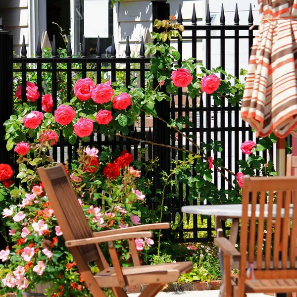 Garden terrace with blooming roses