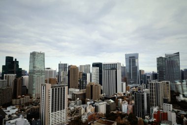 Tokyo manzarası. 2024 'te yeni yüksek binaların yenilenmiş bir şehre dağıldığı bir manzara.