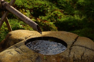 Japon bahçesine yerleştirilmiş bambu suyu.