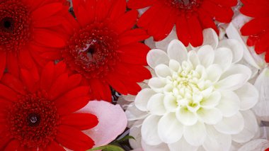 Yukarıdan çekilen suyun üzerinde yüzen renkli çiçeklerin arkaplan fotoğrafı