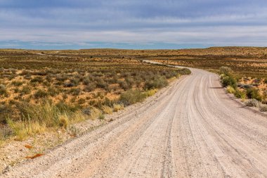 Güney Afrika 'daki Kgalagadi sınır ötesi parkındaki çalılık arazide Safari çakıl yolu.