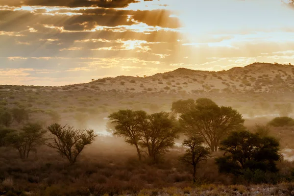Západ Slunce Mlhou Kgalagadi Přeshraničním Parku Jihoafrická Republika — Stock fotografie