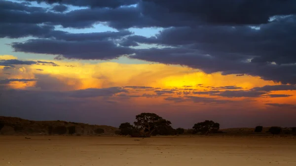 Захід Сонця Хмарою Пустелі Кгалагаді Транскордонний Парк Південна Африка Верхівка — стокове фото