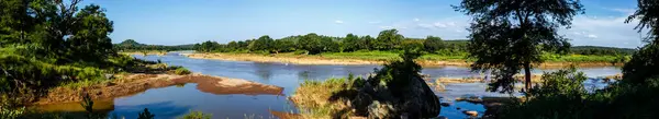 南非克鲁格国家公园的奥列芬特河全景景观 免版税图库照片