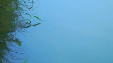 Öğleden sonra sakin bir nehir.