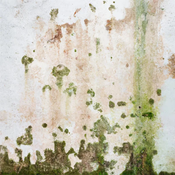 Εικόνα Μούχλας Στον Τοίχο Μορφή Πράσινων Και Καφέ Κηλίδων Και — Διανυσματικό Αρχείο